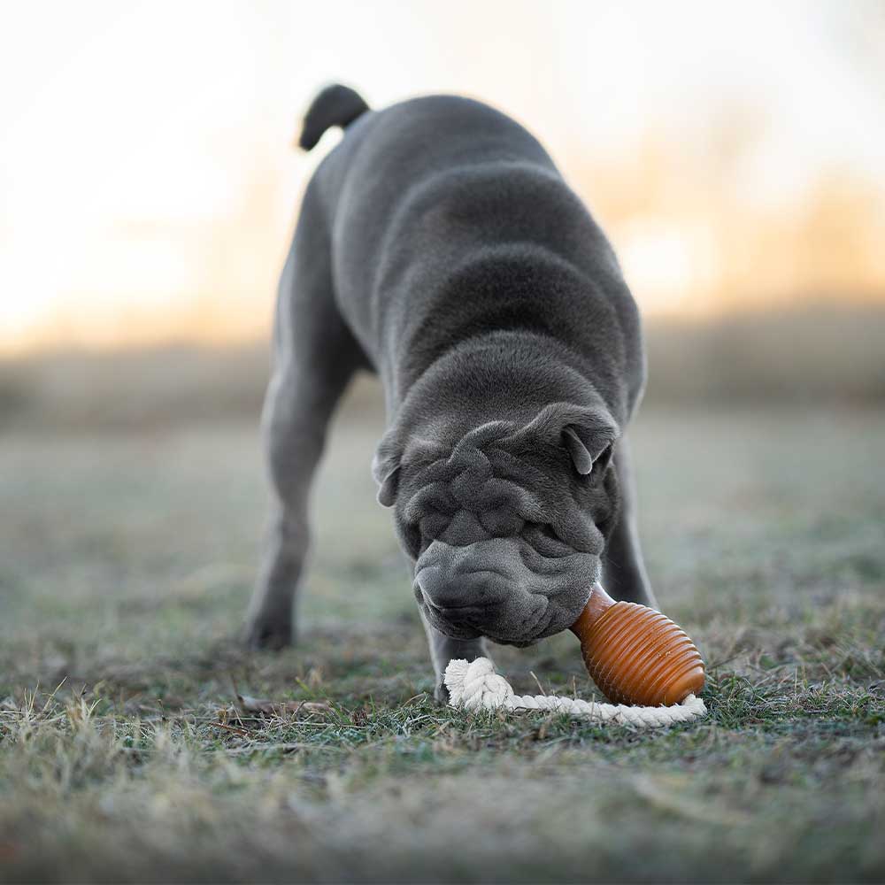 Rubb Bouncy & Rope Dog Toy