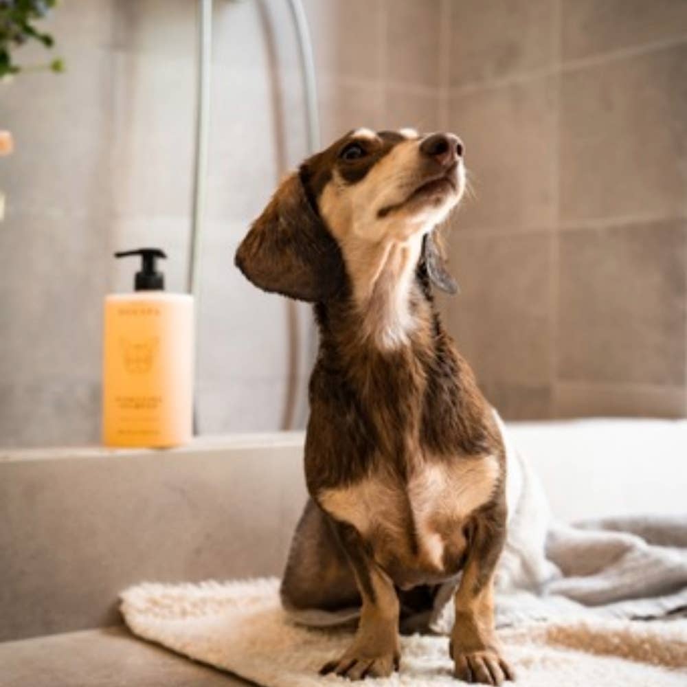 Feuchtigkeitsspendendes Hundeshampoo