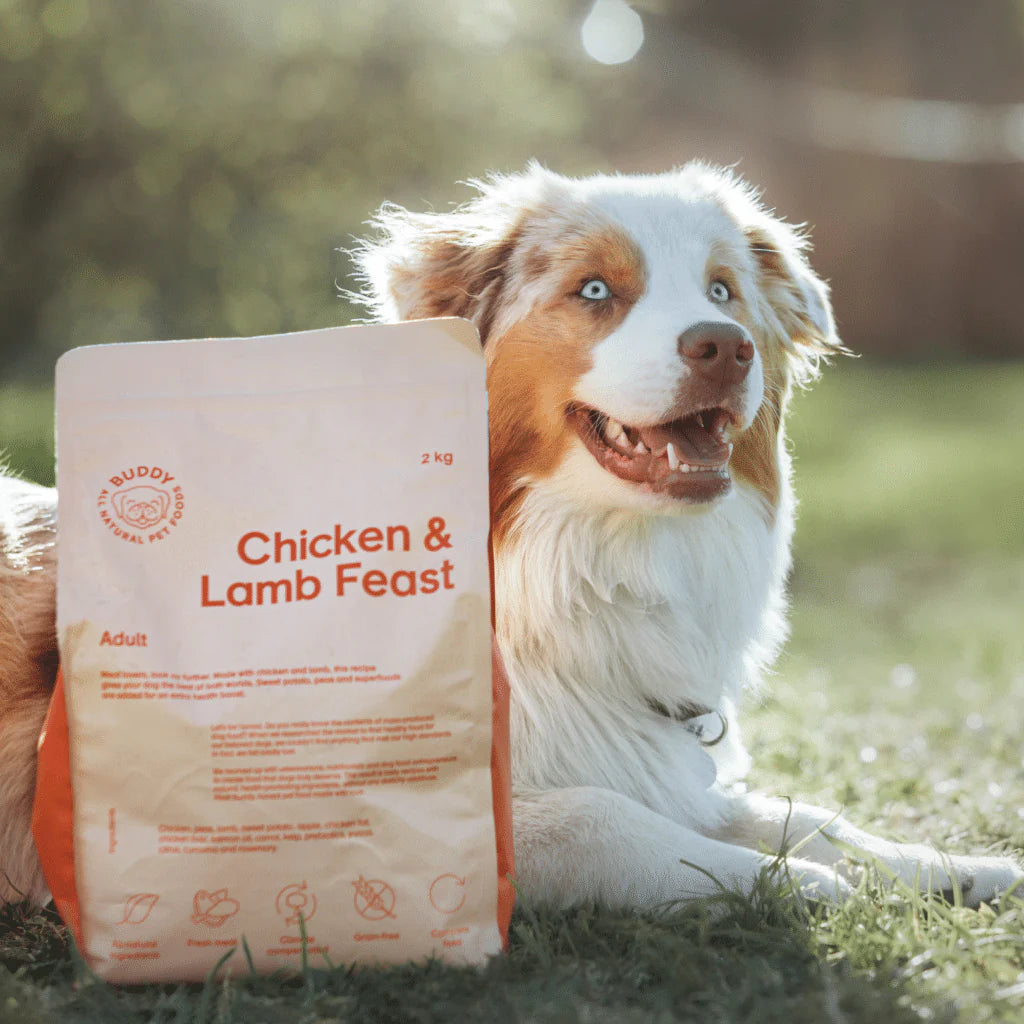 Buddy: Chicken & Lamb Feast