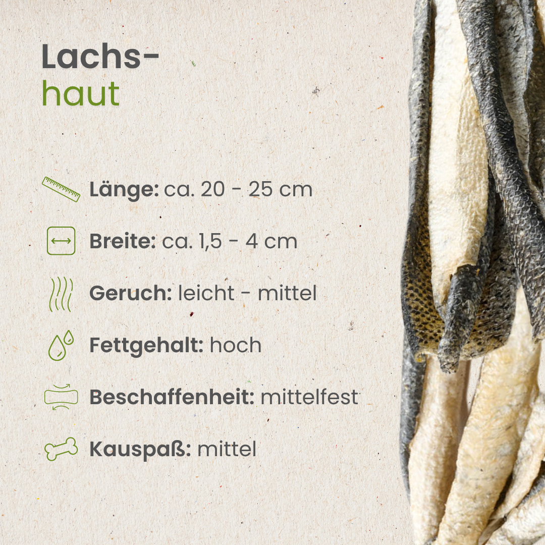 Salmon skin - Holivier