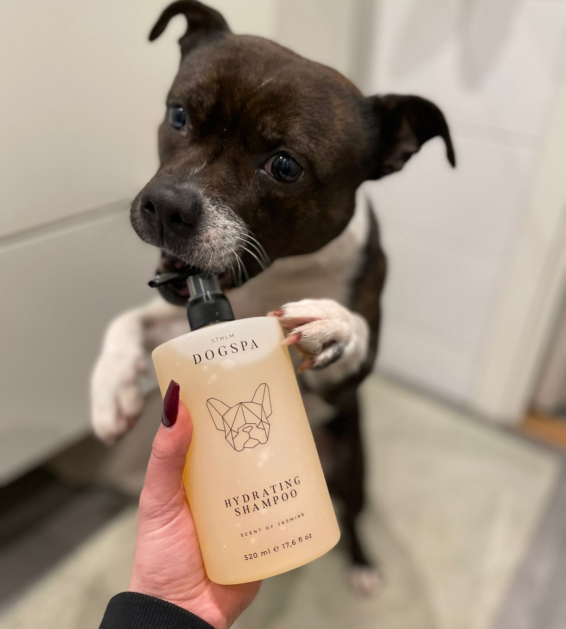Feuchtigkeitsspendendes Hundeshampoo