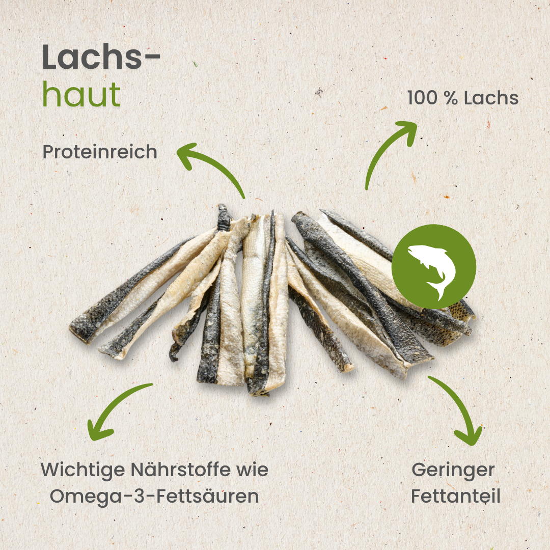 Salmon skin - Holivier