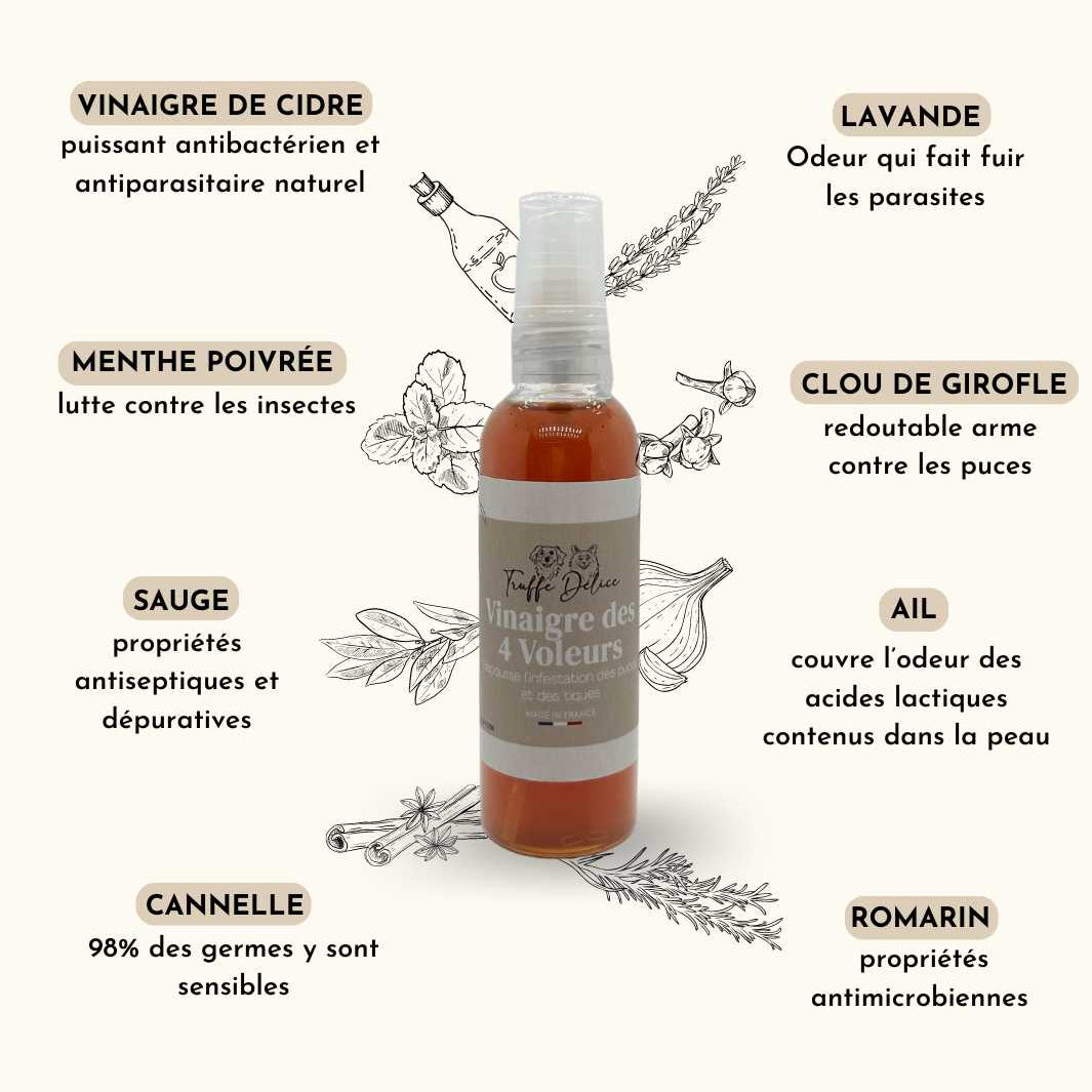 Bottle of vinegar with labels detailing its uses and ingredients on a white background