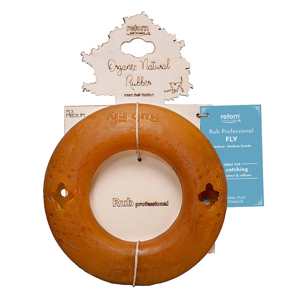 Fly Dog Toy
