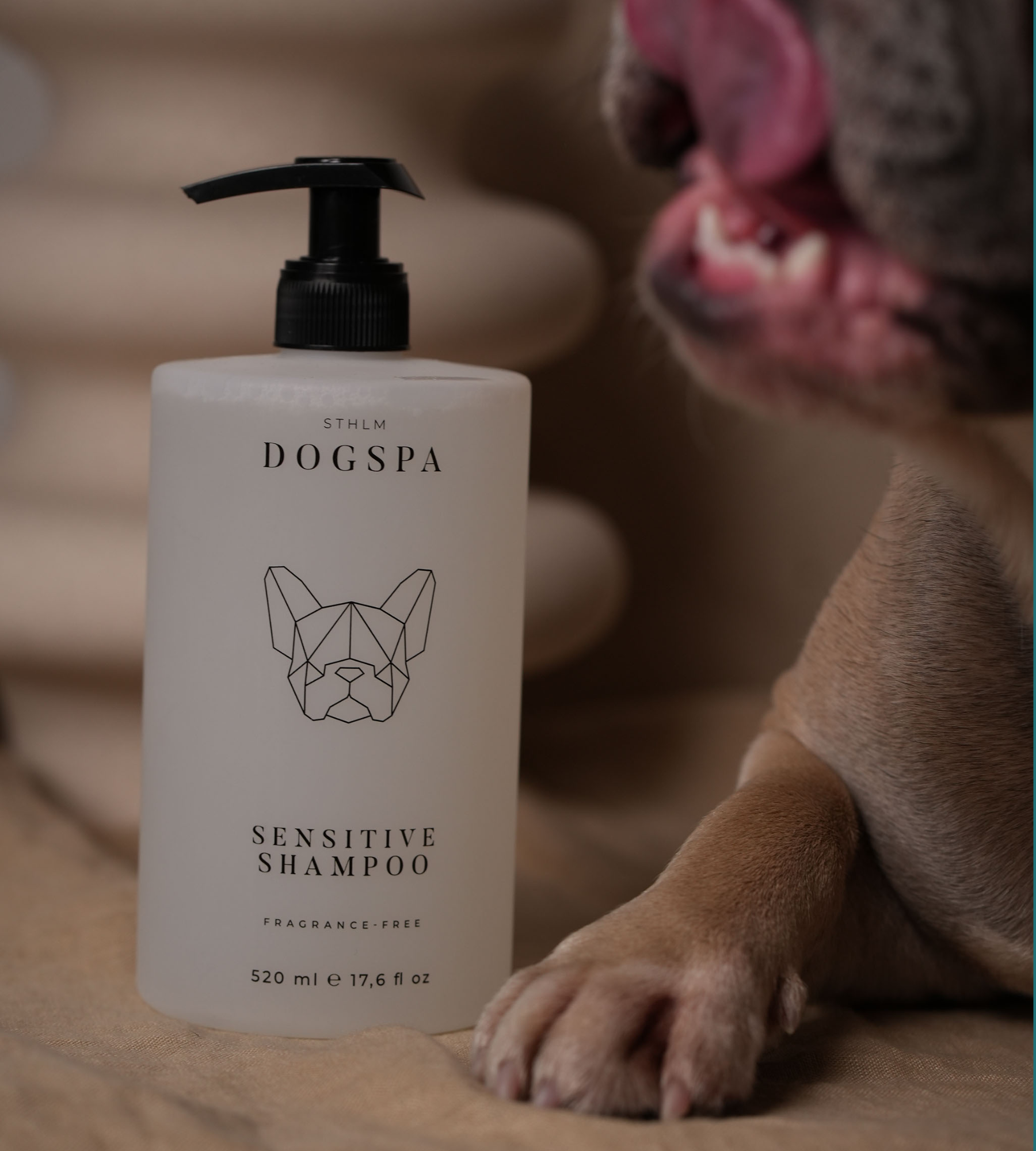 Shampoo für sensible Hunde/Felltypen