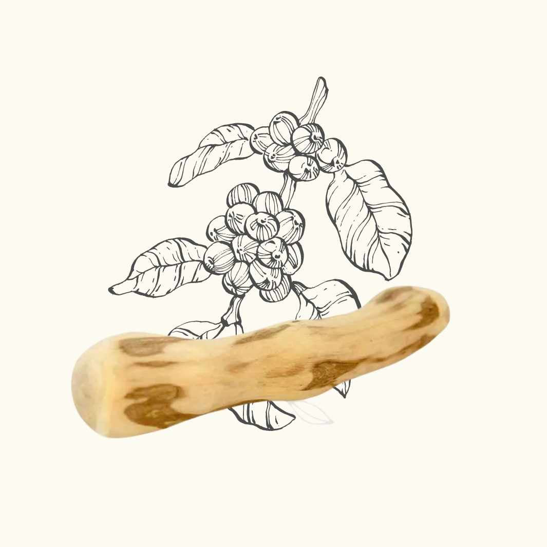 Wooden tool with coffee plant illustration on a white background
