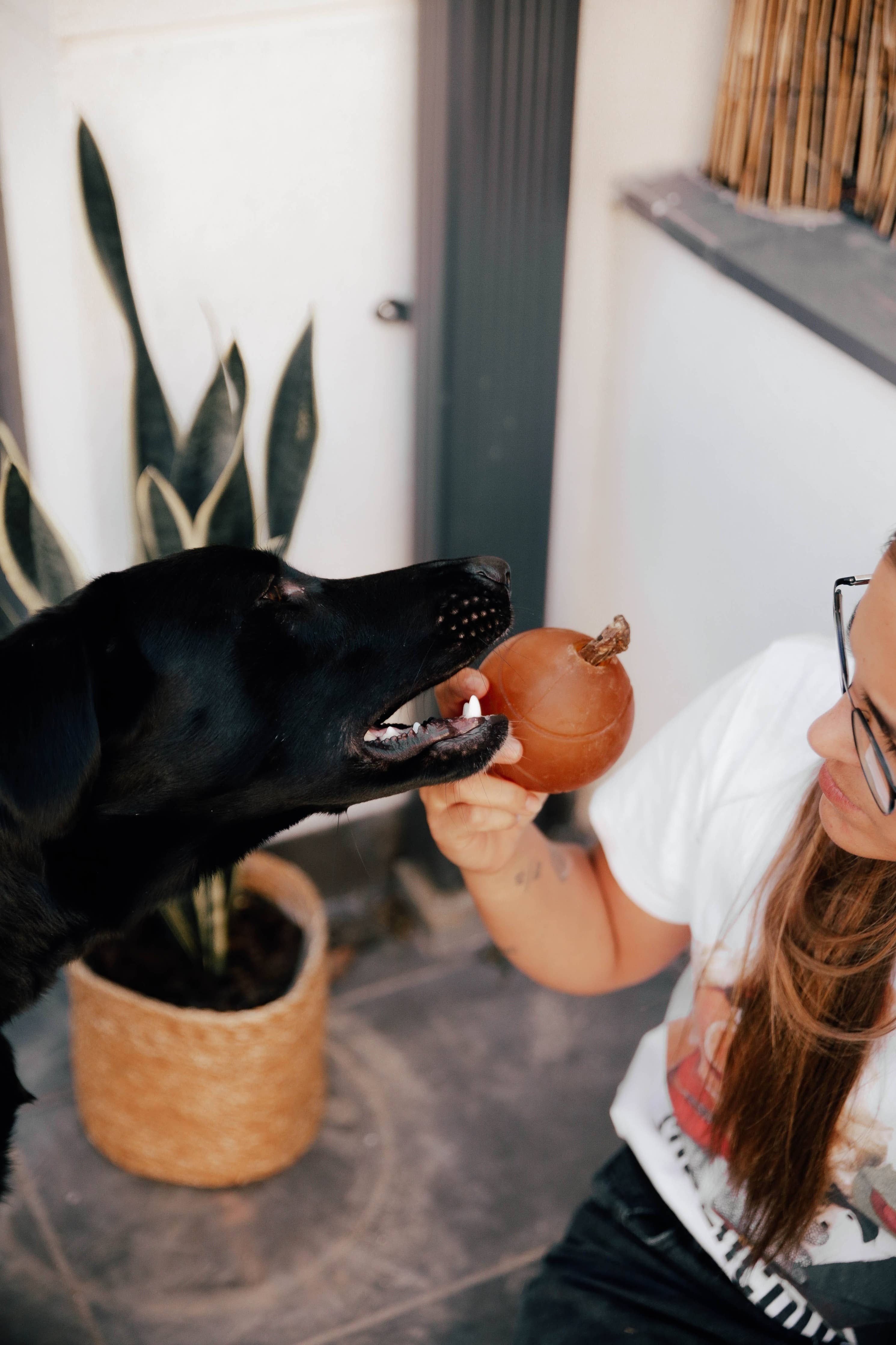 Dog Toy Made of Resin