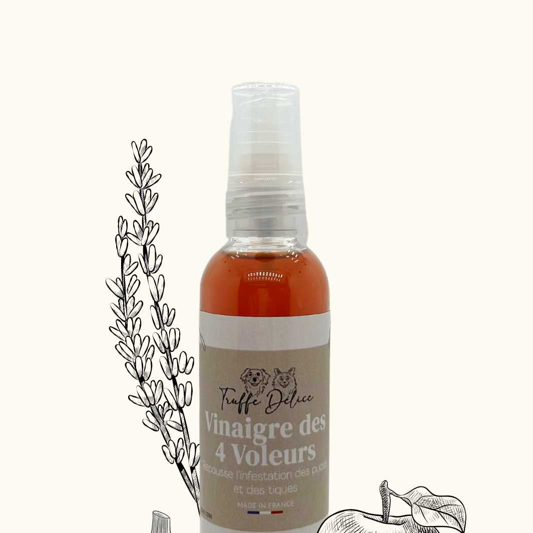 Bottle of &#39;Fumátre des 4 Voleurs&#39; with garlic, apple, and lavender illustrations on a white background