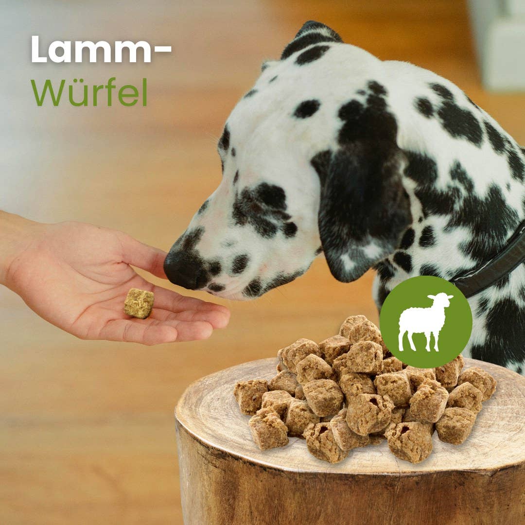 Lamb cubes - Holivier