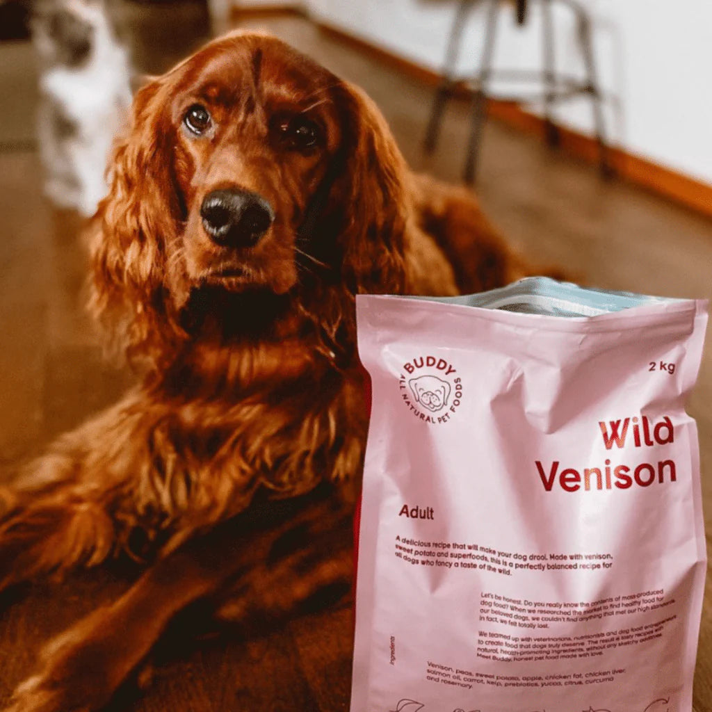 Amigo: Veado Selvagem