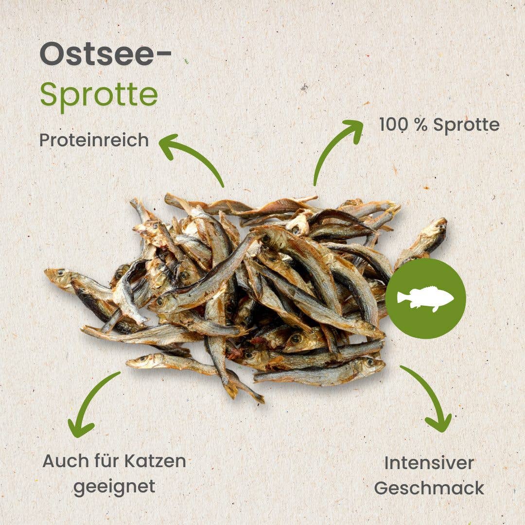 Baltic sprat - Holivier