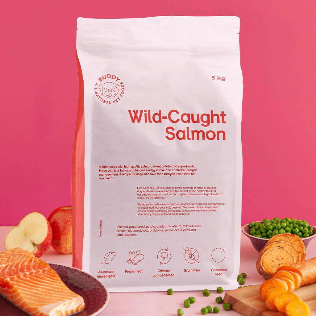 Buddy: Wild-Caught Salmon