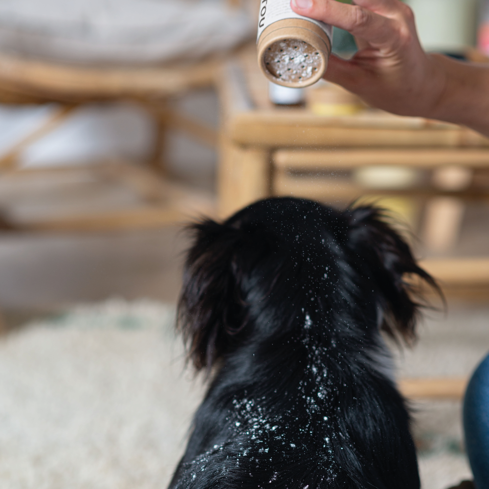 Trockenshampoo – zertifiziert biologisch