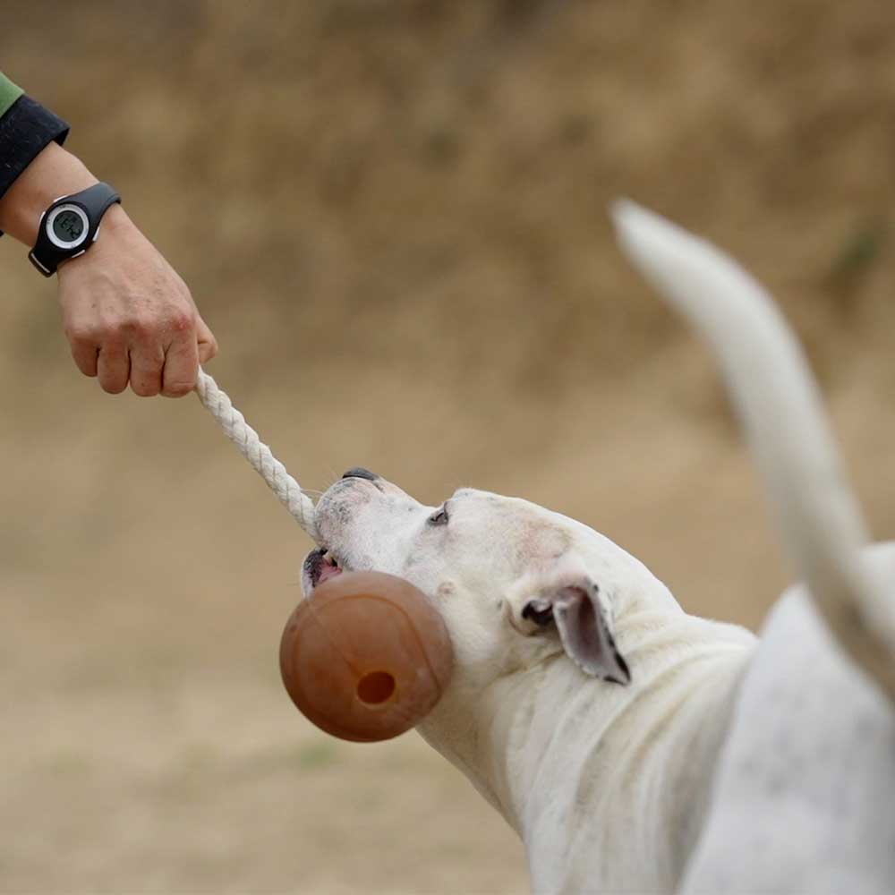 Dog Rubo Ball Rope Toy - XL