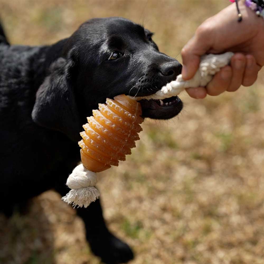Rugby Spike & Rope Dog Toy - M