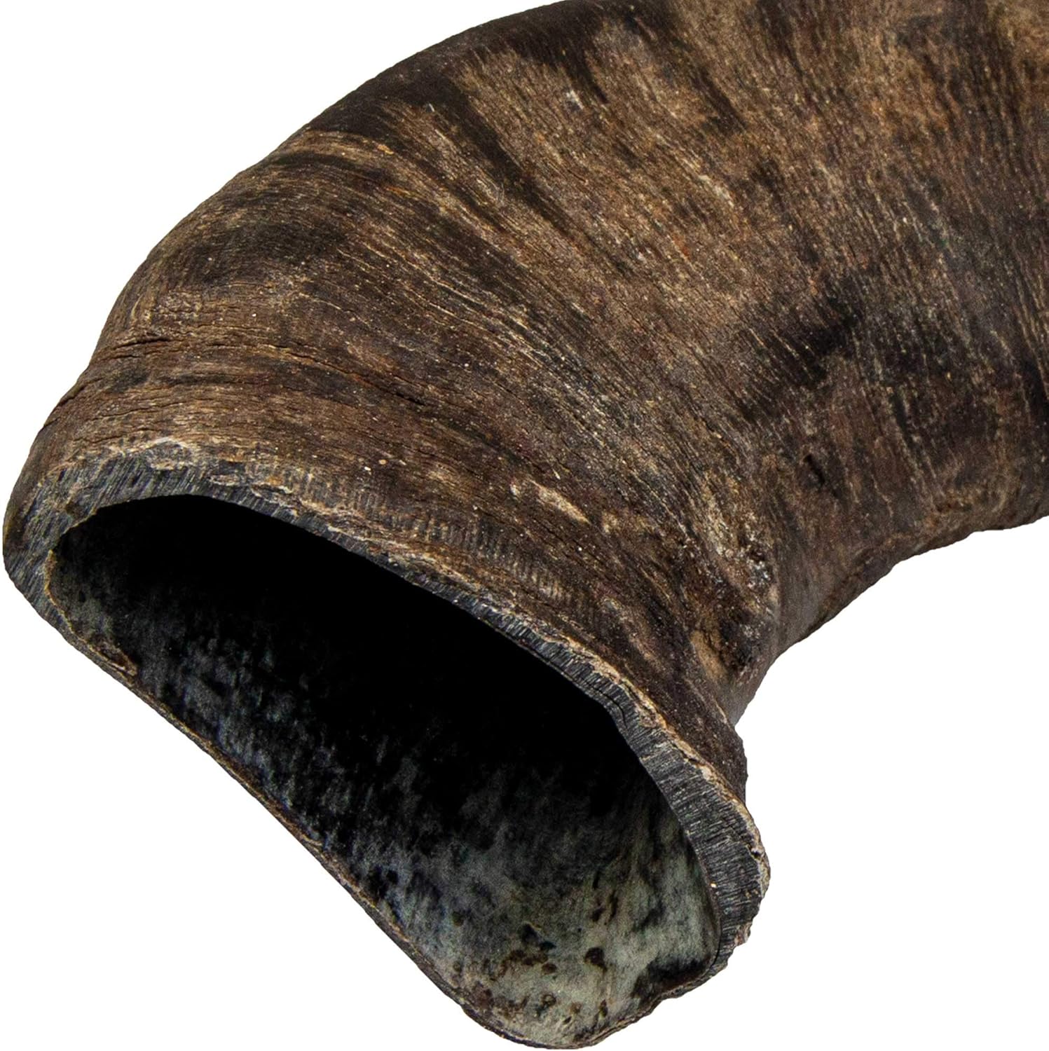 Cuerno de búfalo