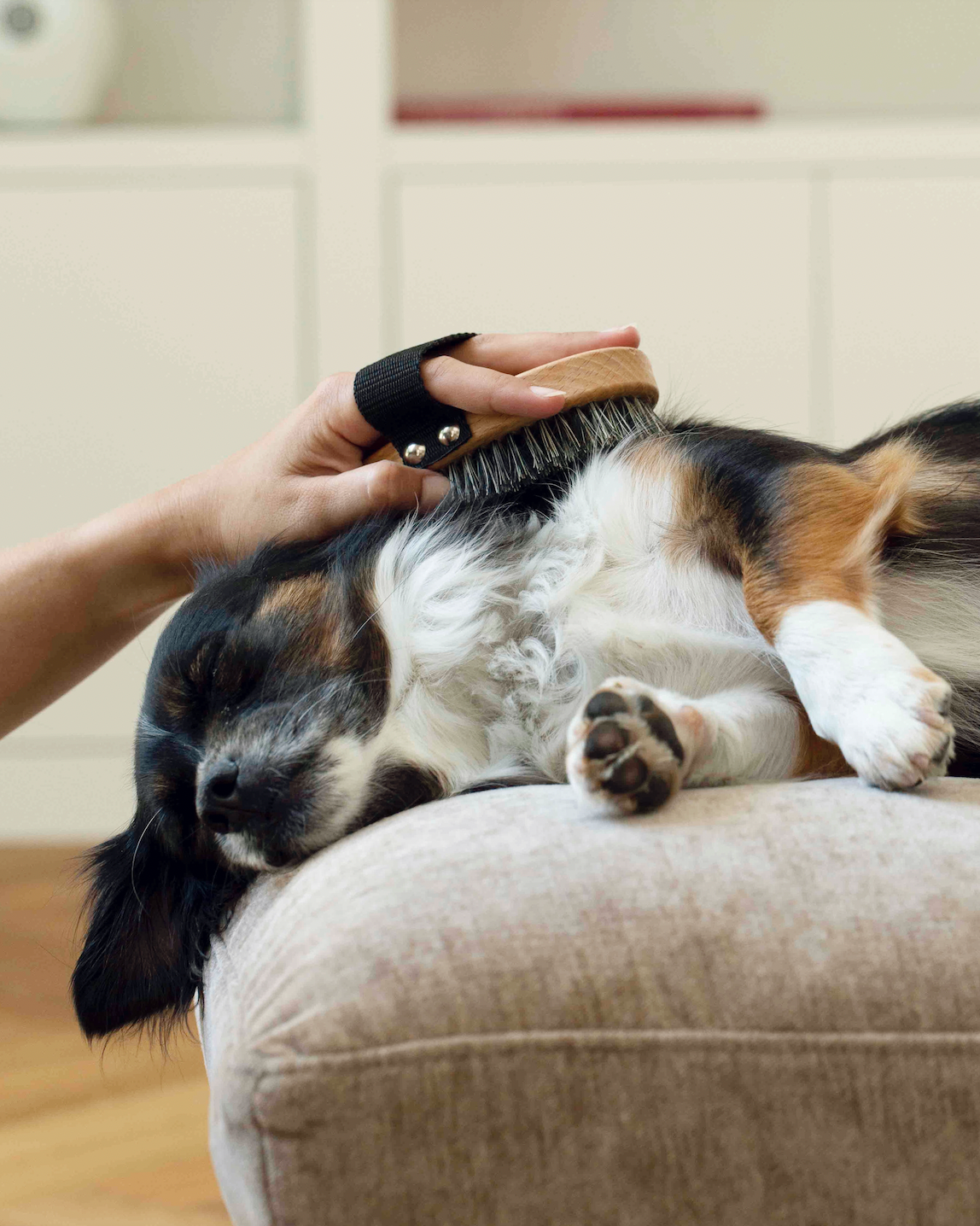 Trockenshampoo – zertifiziert biologisch