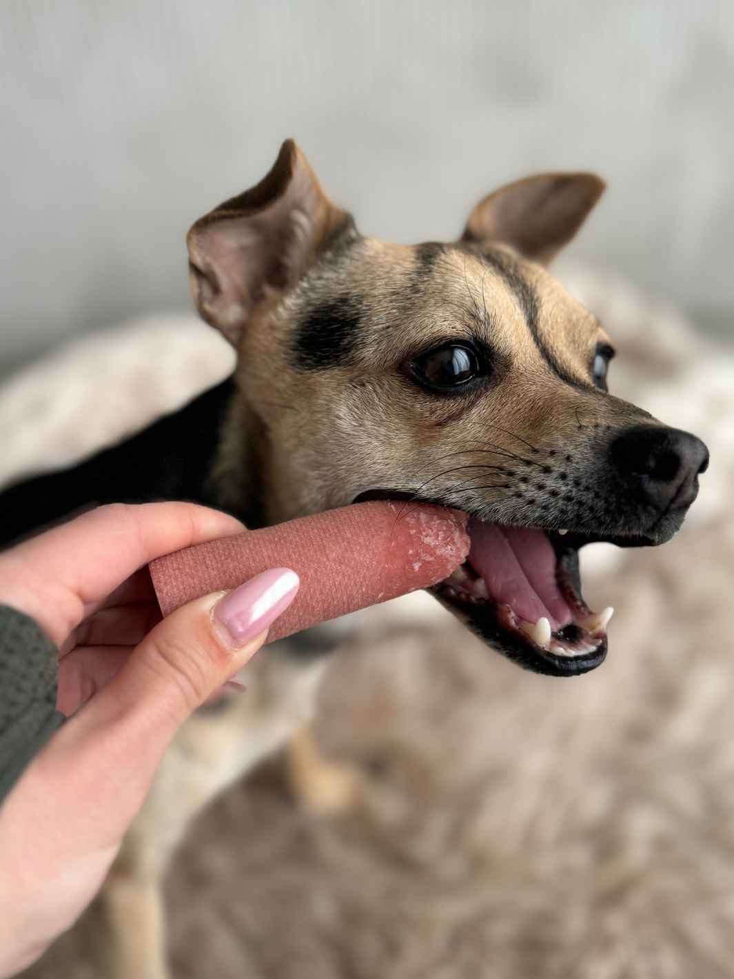 Yak Cheese For Dogs