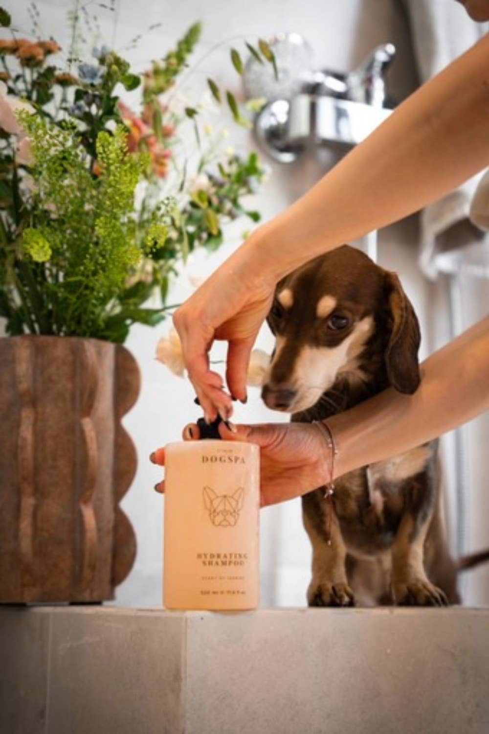Feuchtigkeitsspendendes Hundeshampoo