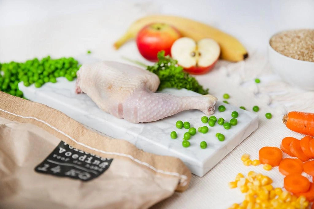 Chicken &amp; Rice for Puppies