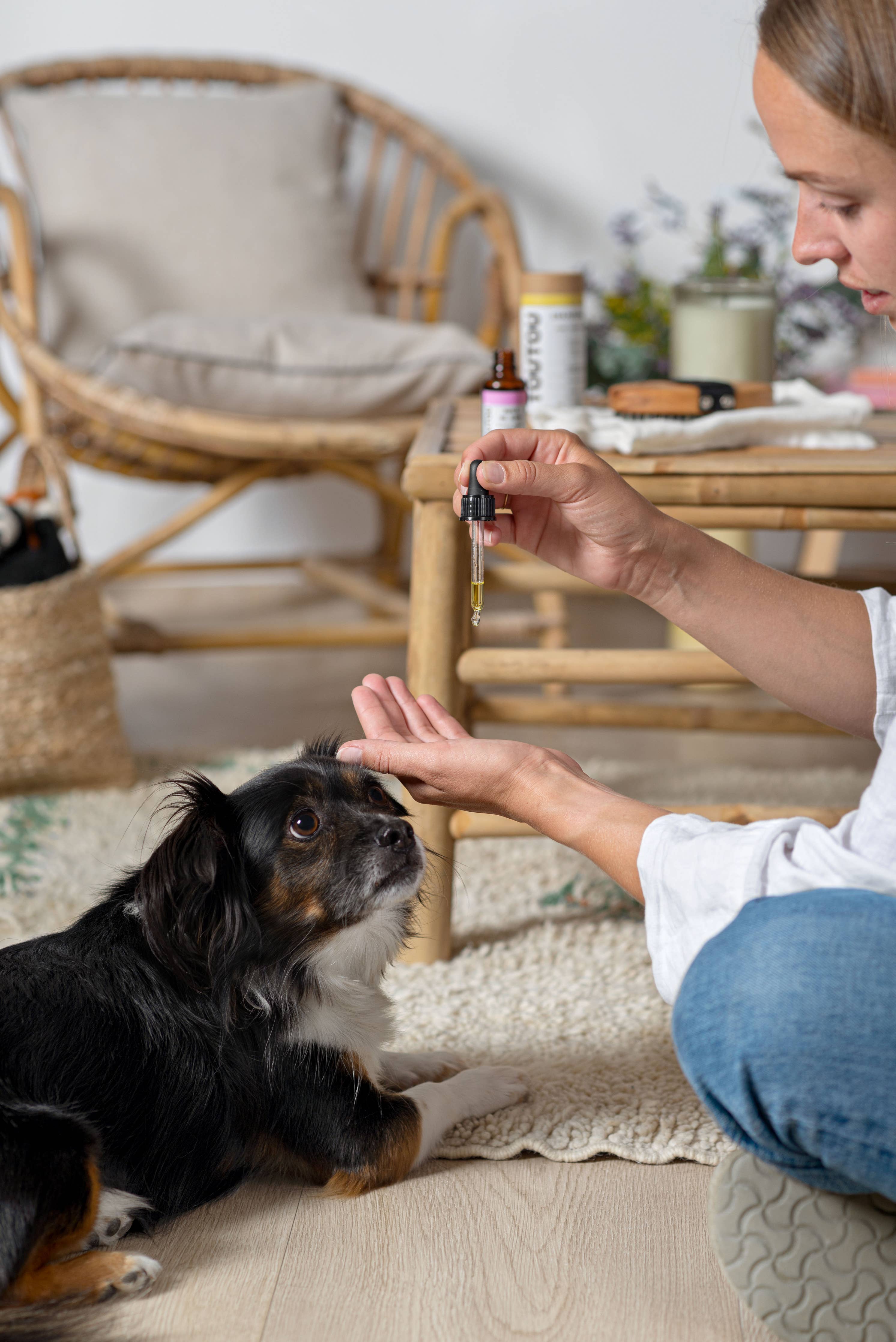 Aceite natural para perros (cuidado del pelaje)