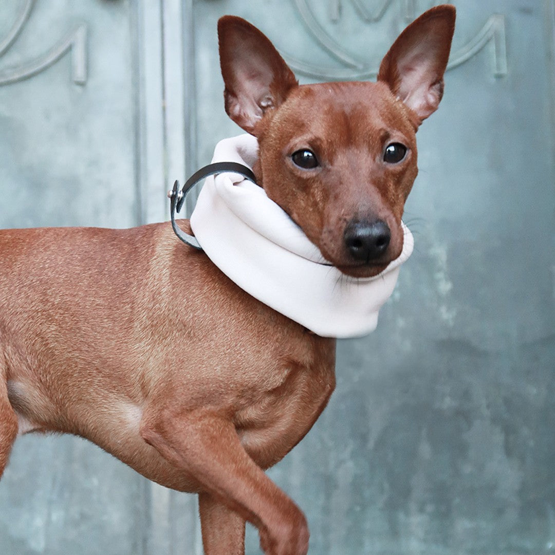 Inko Neck Warmer - White Sand 