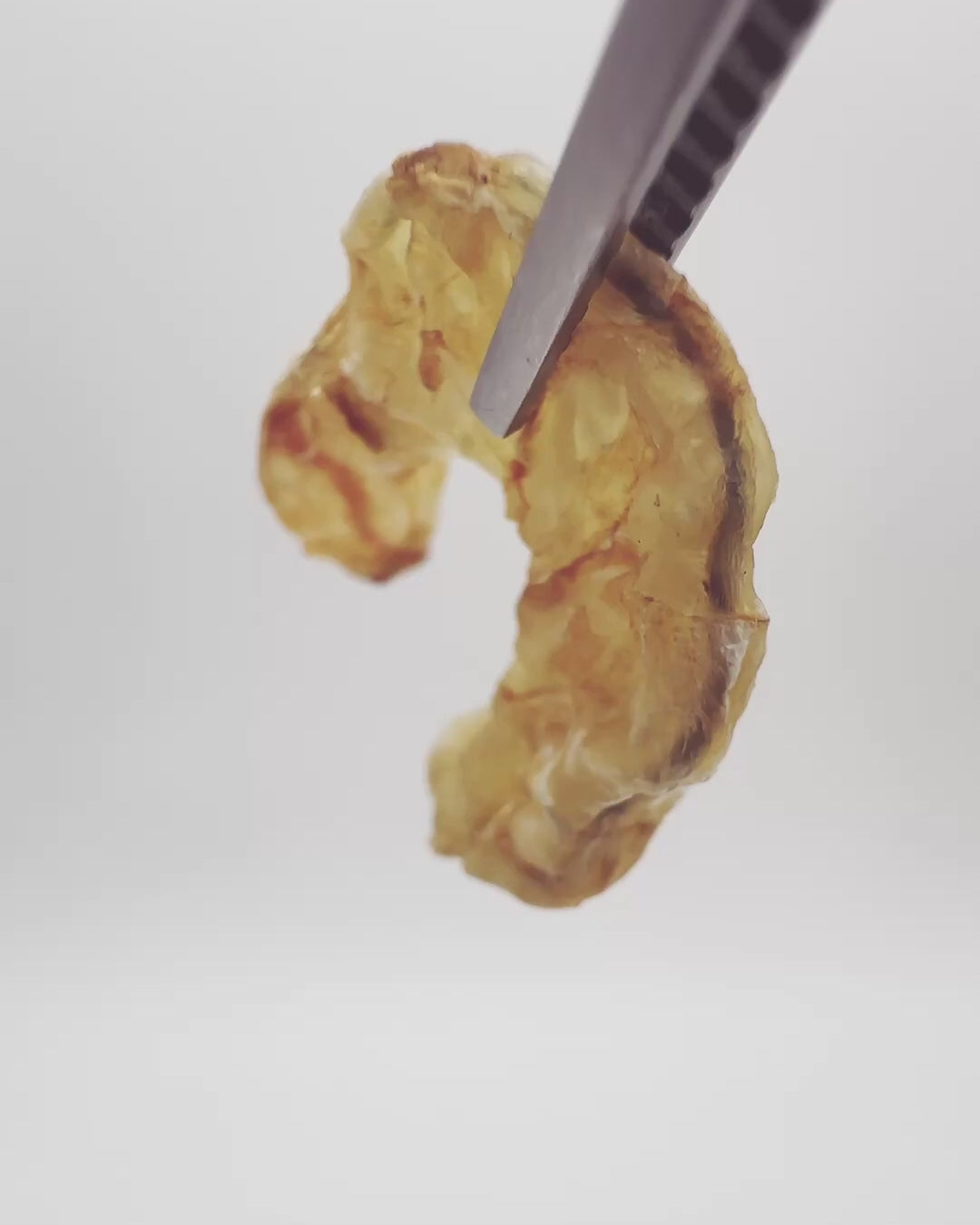 Shrimp