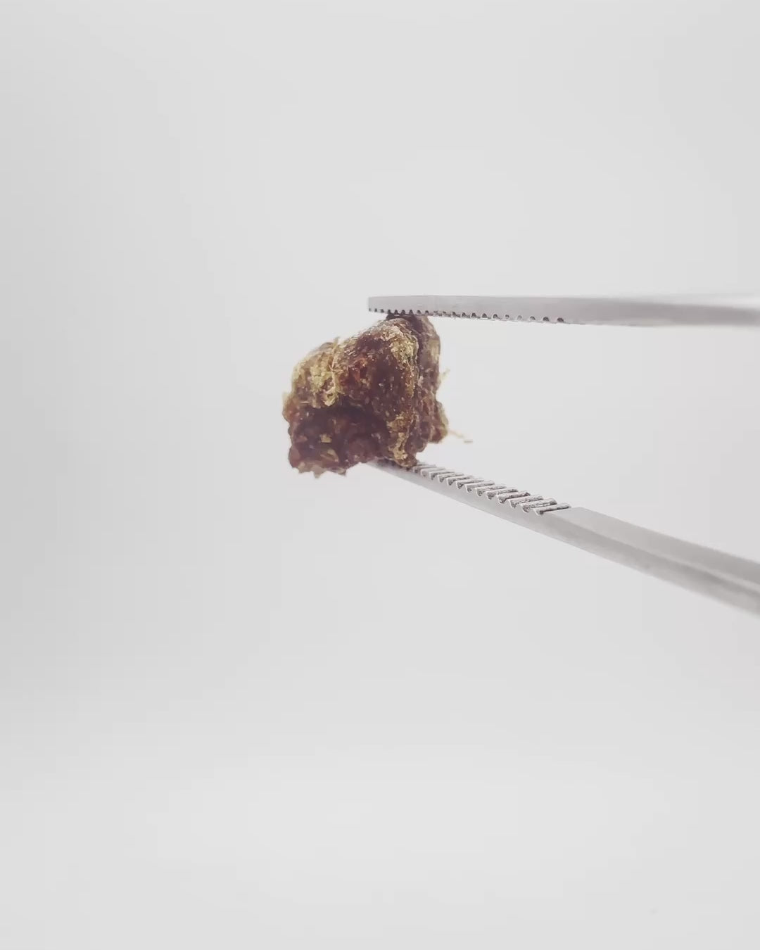 Pork