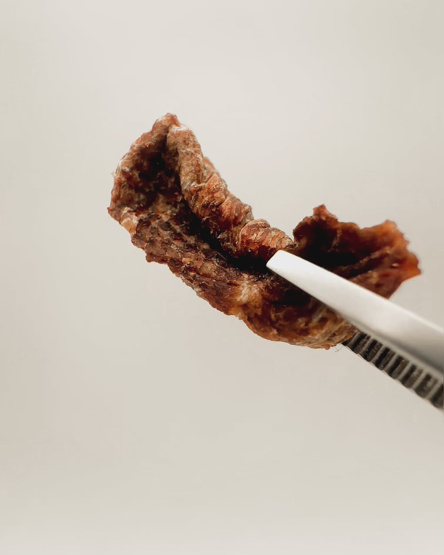 Beef