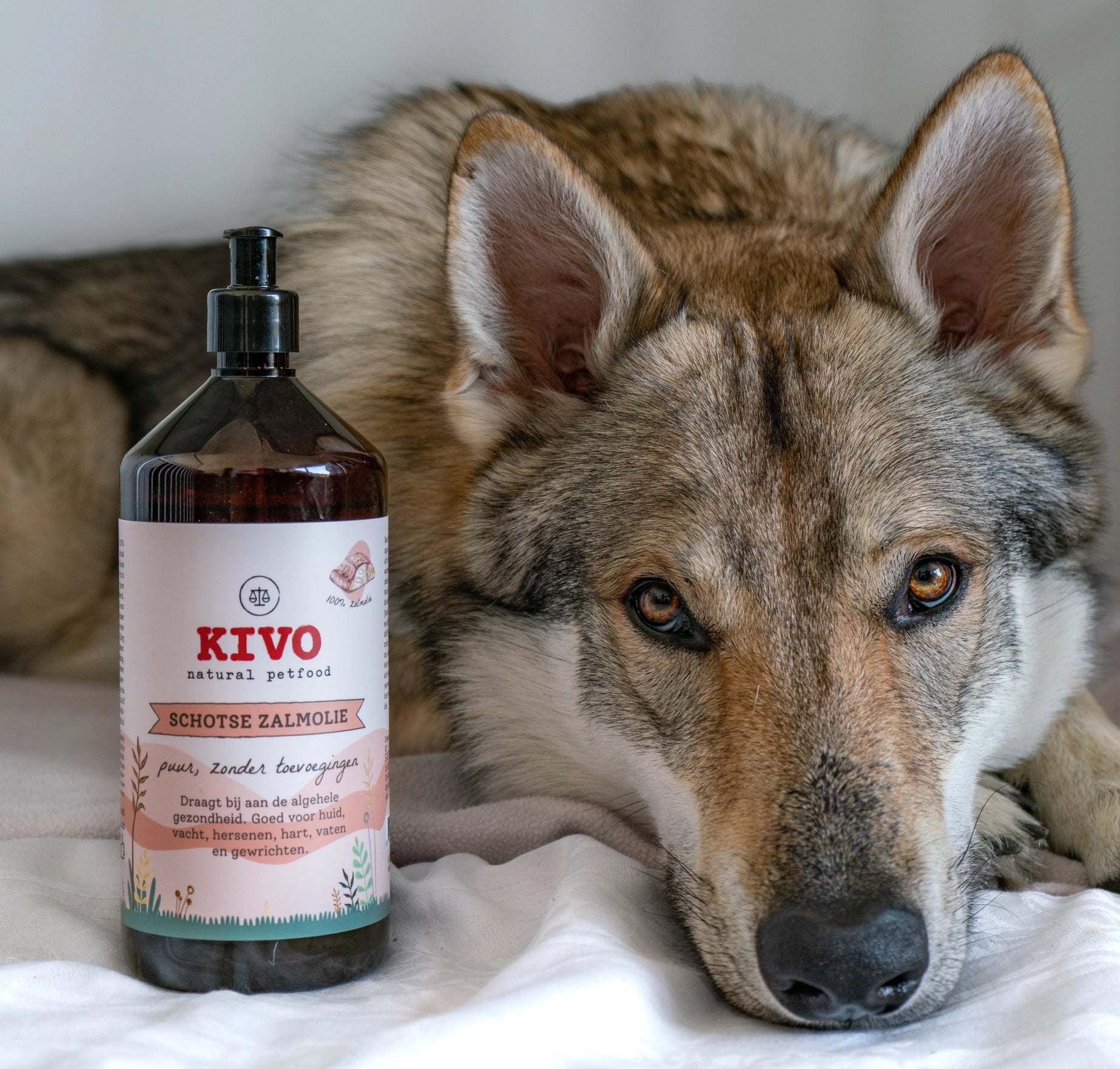 Scottish Salmon Oil