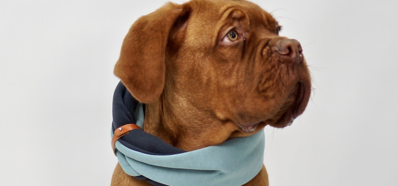 Simo Neck Warmer - Turquoise &amp; Iron 